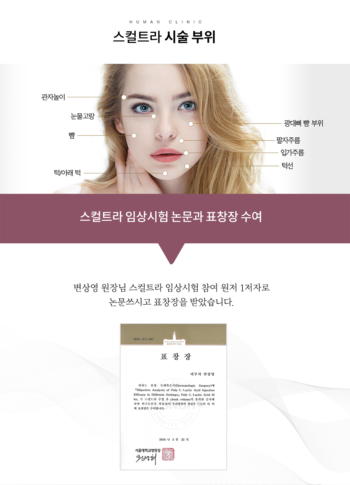보톡스/필러/실리프팅